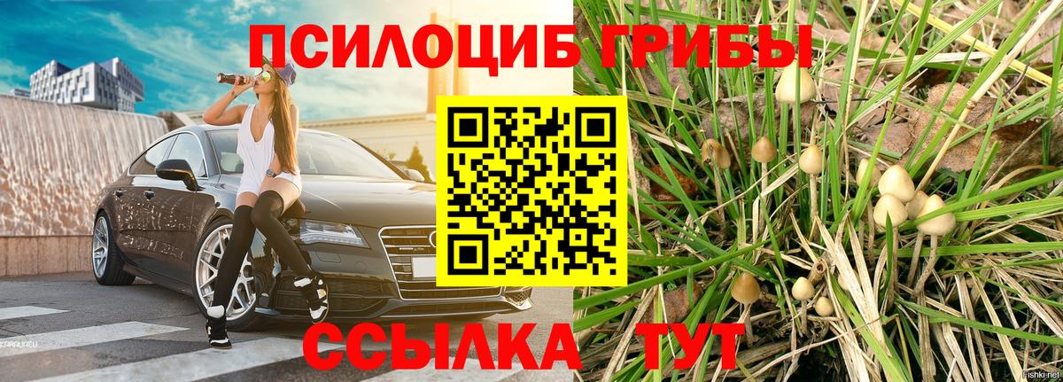 Галлюциногенные грибы ЛСД Советский
