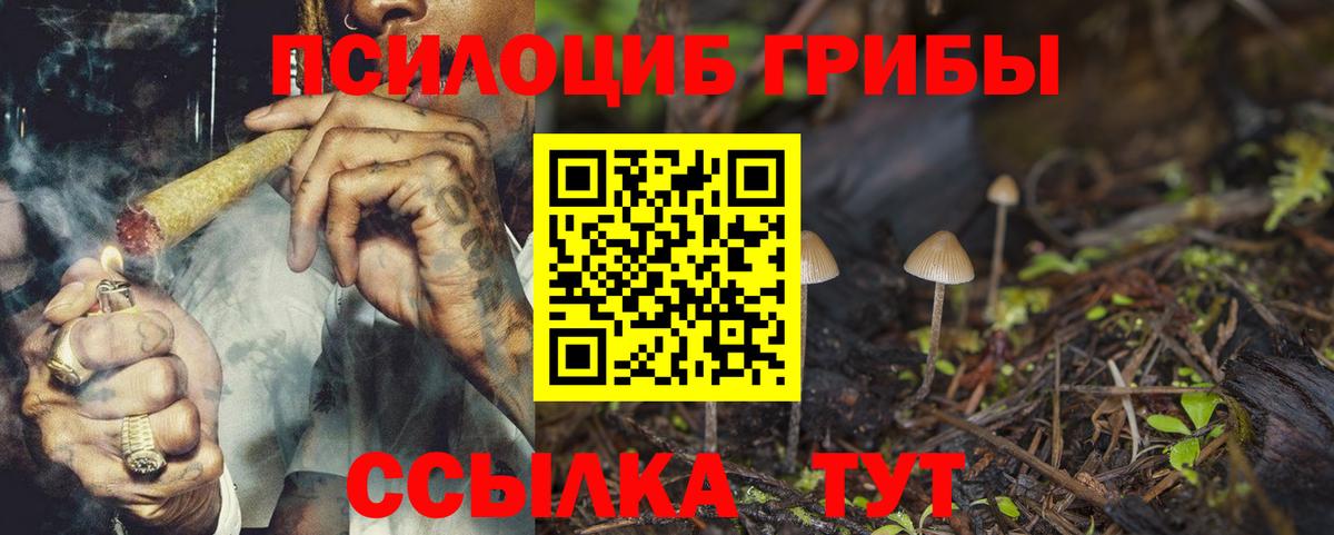 Советский  Галлюциногенные грибы Psilocybe  Вход с VPN 